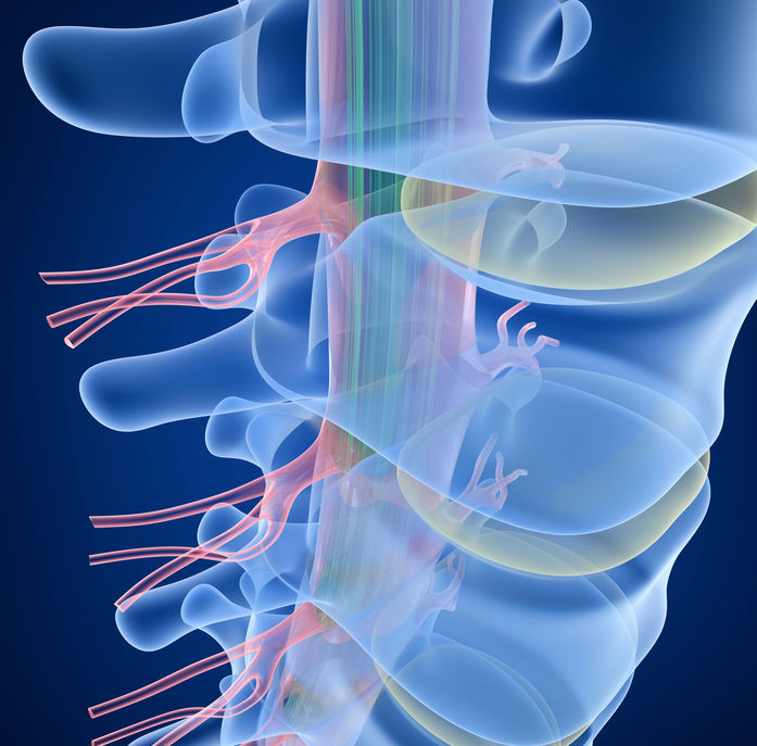 Neck and Back Accident Injuries Leading to Paralysis - Spivey Law