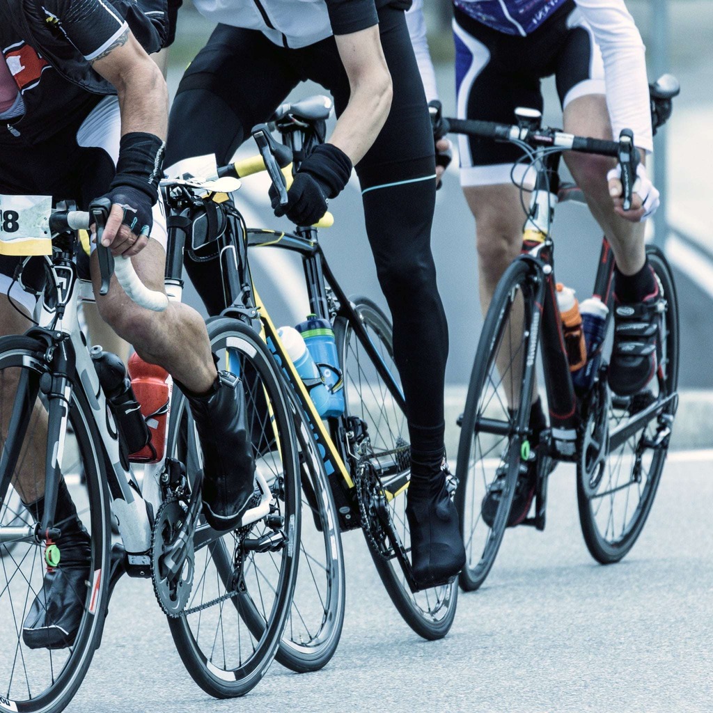 Watch out for large bicycle groups on SW Florida roads